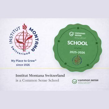 Image for Recognition on digital citizenship and AI for Institut Montana